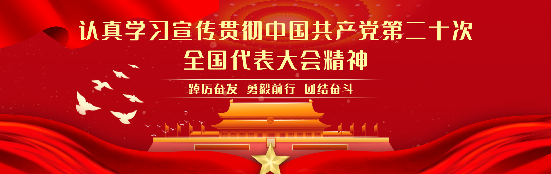 437ccm·必赢国际